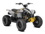 Can-Am Youth - Renegade 110 EFI 2024